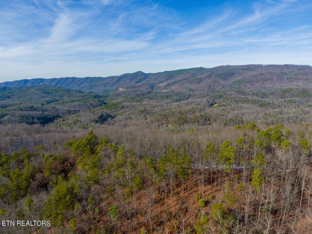 1968 E Millers Cove Rd, Walland, TN 37886 - photo 24