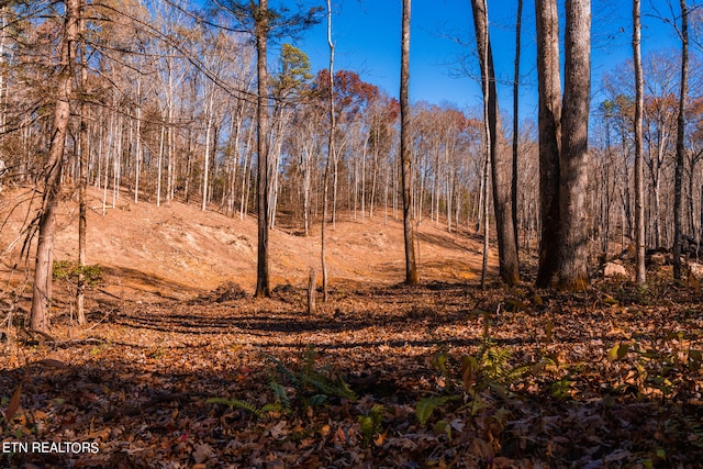 1968 E Millers Cove Rd, Walland, TN 37886 - photo 29