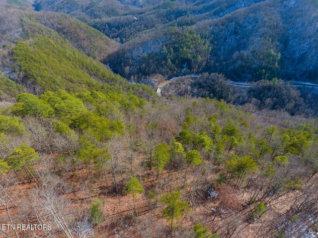 1968 E Millers Cove Rd, Walland, TN 37886 - photo 33