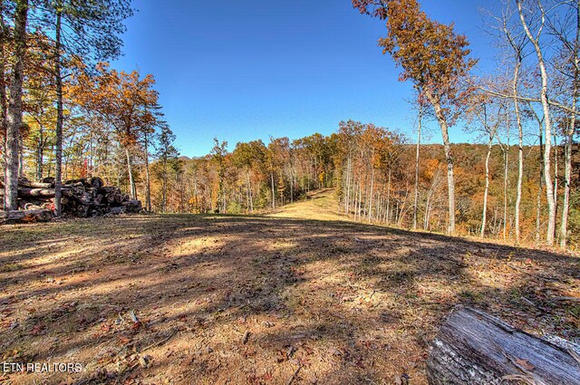 1968 E Millers Cove Rd, Walland, TN 37886 - photo 34