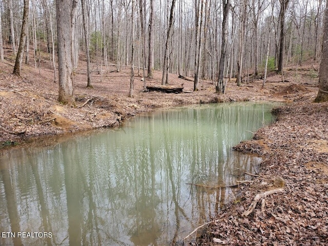 1968 E Millers Cove Rd, Walland, TN 37886 - photo 31