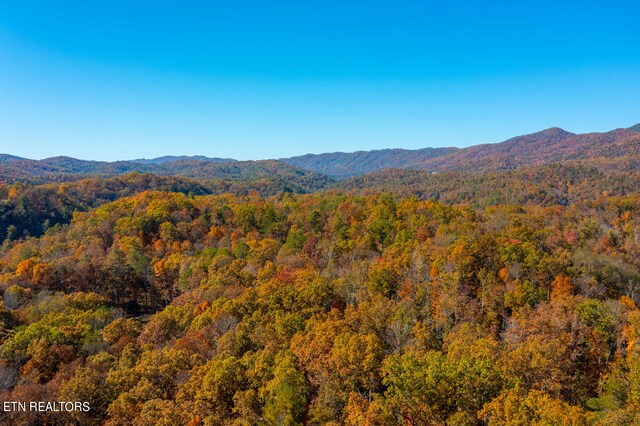 1968 E Millers Cove Rd, Walland, TN 37886 - photo 8