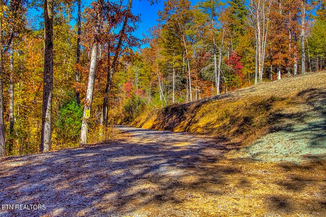 1968 E Millers Cove Rd, Walland, TN 37886 - photo 10