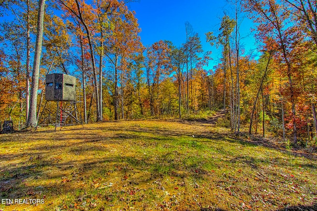 1968 E Millers Cove Rd, Walland, TN 37886 - photo 9