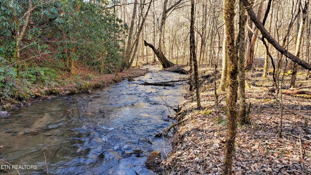 1968 E Millers Cove Rd, Walland, TN 37886 - photo 38
