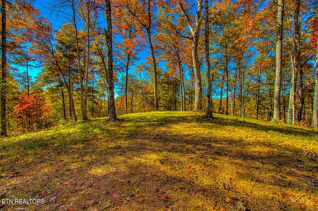 1968 E Millers Cove Rd, Walland, TN 37886 - photo 12