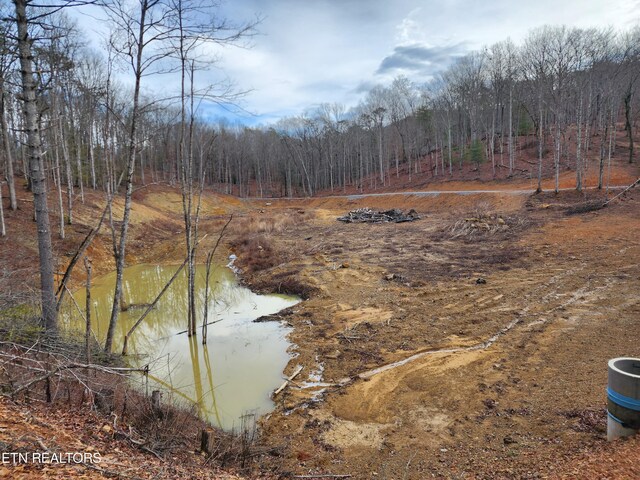 1968 E Millers Cove Rd, Walland, TN 37886 - photo 32