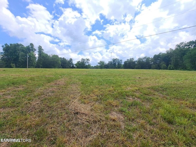 Red Hill Rd, Robbins TN, 37852 land for sale