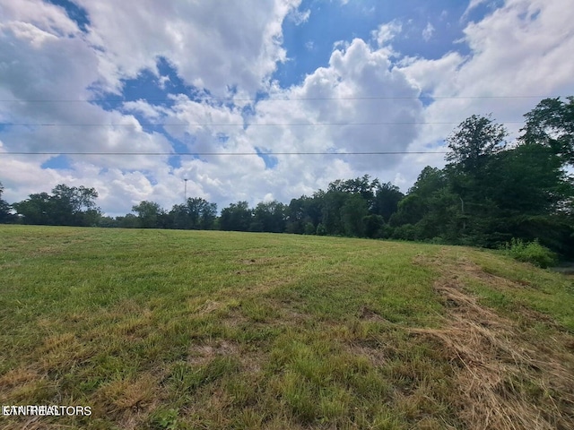 Listing photo 2 for Red Hill Rd, Robbins TN 37852