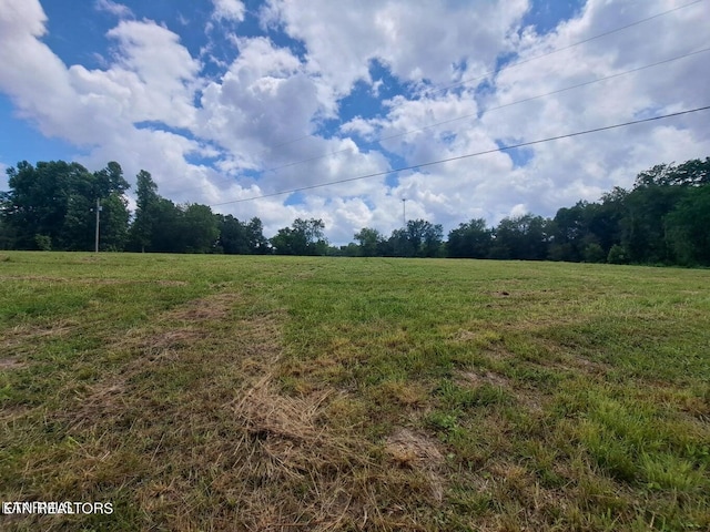 Listing photo 3 for Red Hill Rd, Robbins TN 37852