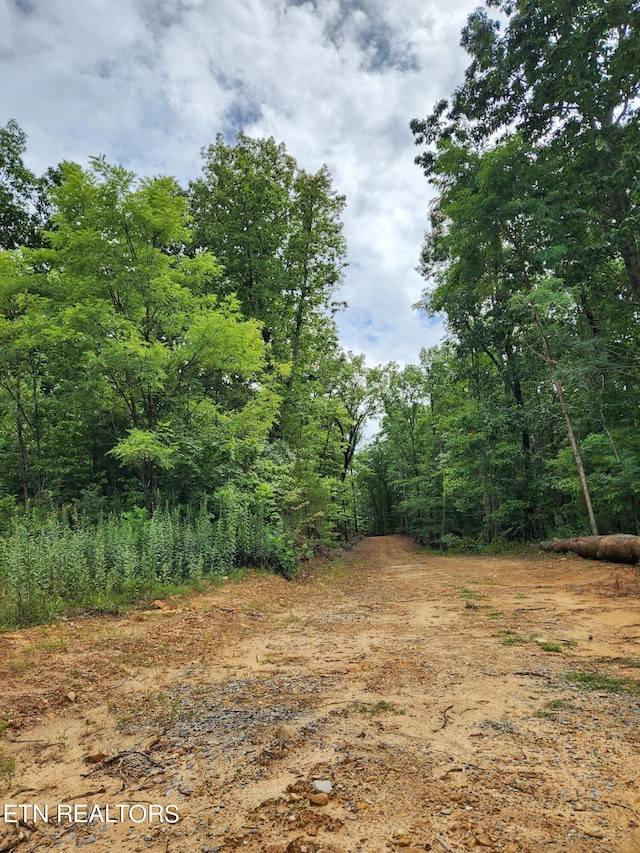 LOT12 Coker Creek Trl, Tellico Plains TN, 37385 land for sale