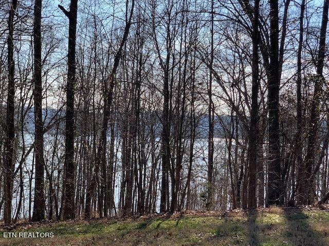 E Shore Dr, Rockwood TN, 37854 land for sale