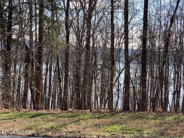 Listing photo 2 for E Shore Dr, Rockwood TN 37854