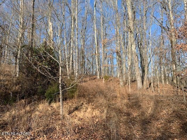 Listing photo 3 for E Shore Dr, Rockwood TN 37854