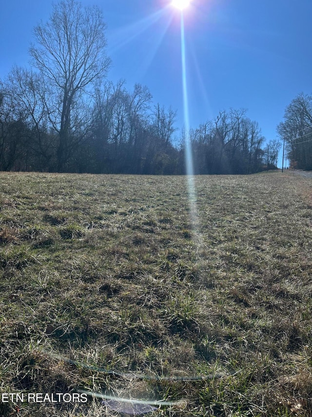 Listing photo 3 for Bob Wright Rd, Maynardville TN 37807