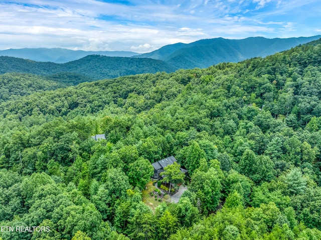 property view of mountains