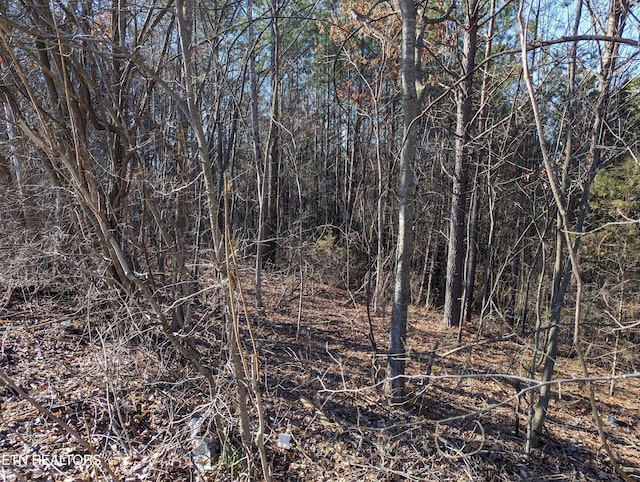 Listing photo 3 for LOT22A W Dr, Parrottsville TN 37843