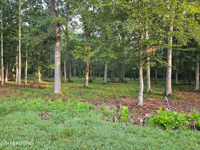 LOT5 Deerwood Dr, Dandridge TN, 37725 land for sale