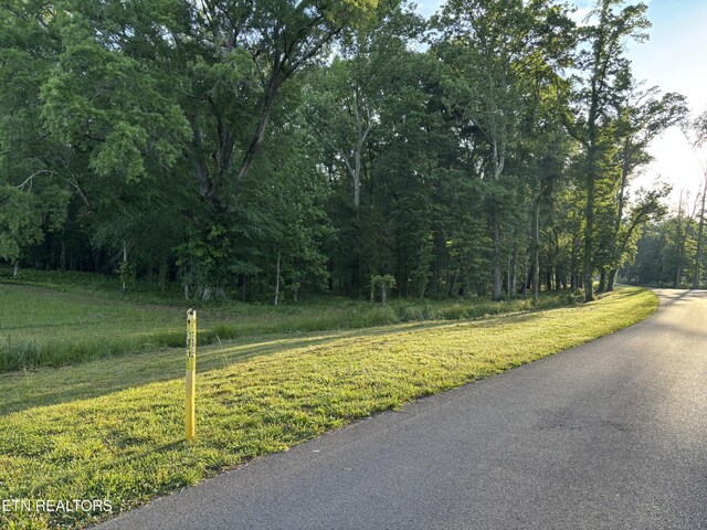 LOT5 Deerwood Dr, Dandridge, TN 37725 - photo 3