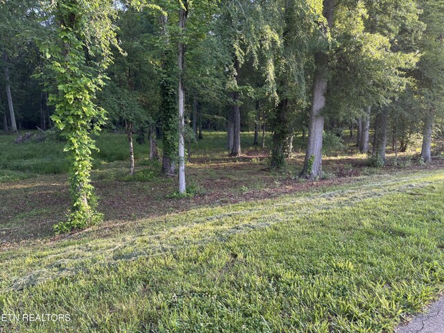 LOT5 Deerwood Dr, Dandridge, TN 37725 - photo 4