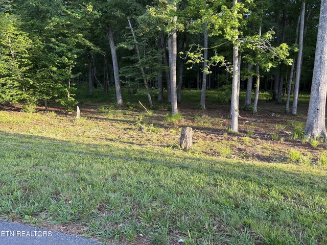 LOT5 Deerwood Dr, Dandridge, TN 37725 - photo 5