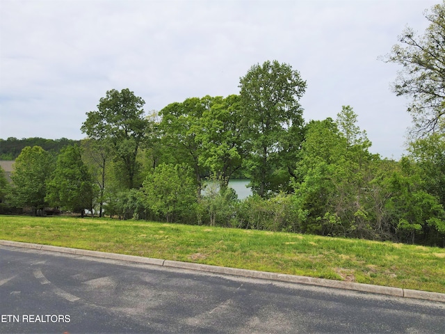 Listing photo 3 for 201 White Swan Dr, Vonore TN 37885