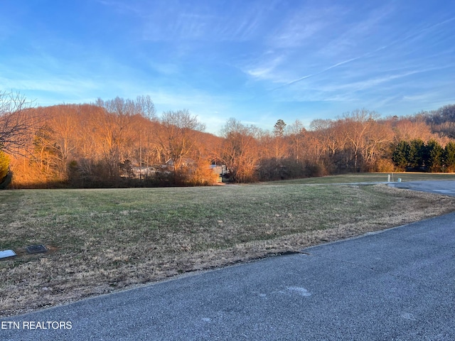 103 Cove Lndg, Kingston TN, 37763 land for sale