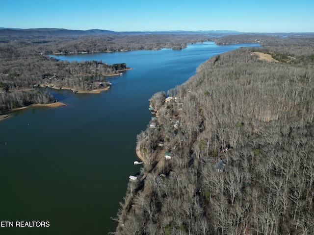 Clearwater Dr, Spring City TN, 37381 land for sale