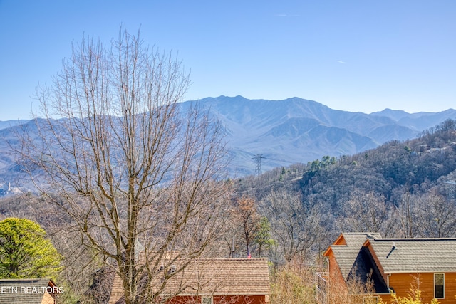 view of mountain feature