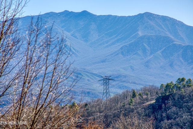 view of property view of mountains