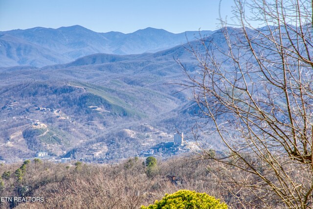 view of property view of mountains