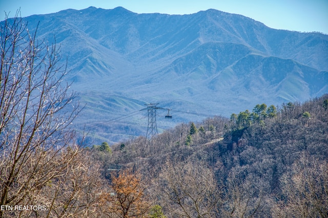 view of mountain view