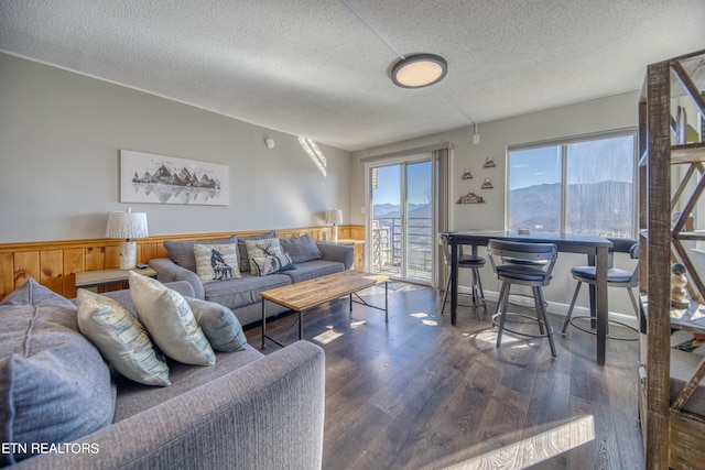 living room featuring a mountain view, dark hardwood / wood-style floors, and a textured ceiling