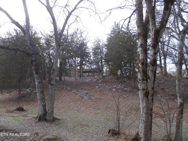 LOT30 Tradition Ln, Sevierville, TN 37862 - photo 15