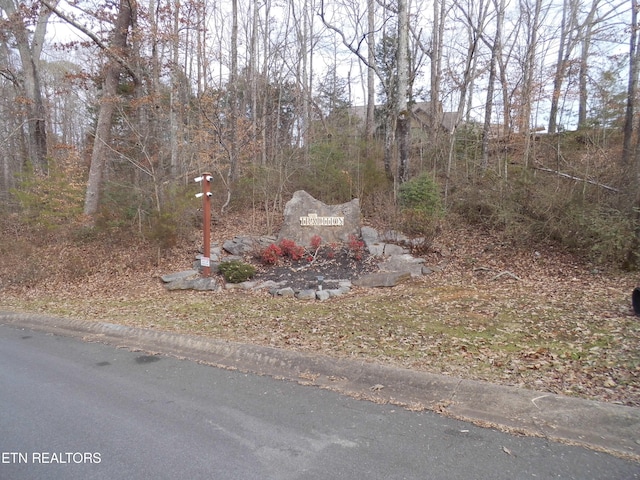 LOT30 Tradition Ln, Sevierville, TN 37862 - photo 12