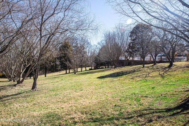 352 Rutherford Dr, New Tazewell, TN 37825 - view of yard