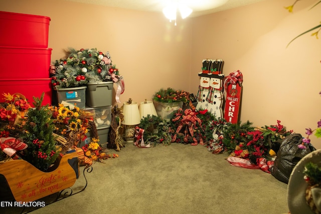 352 Rutherford Dr, New Tazewell, TN 37825 - recreation room with ceiling fan and carpet floors