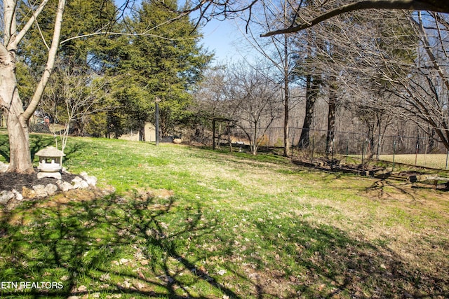 352 Rutherford Dr, New Tazewell, TN 37825 - view of yard
