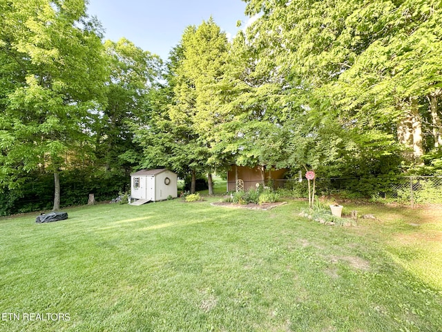 view of yard with a storage unit