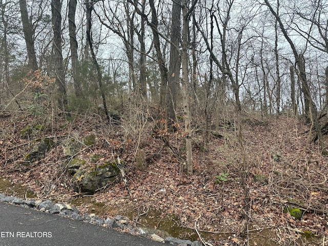 000 Cliffwood Dr, Newport TN, 37821 land for sale