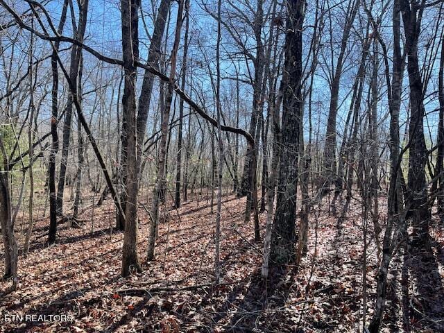 13 Owego Cir, Crossville TN, 38572 land for sale