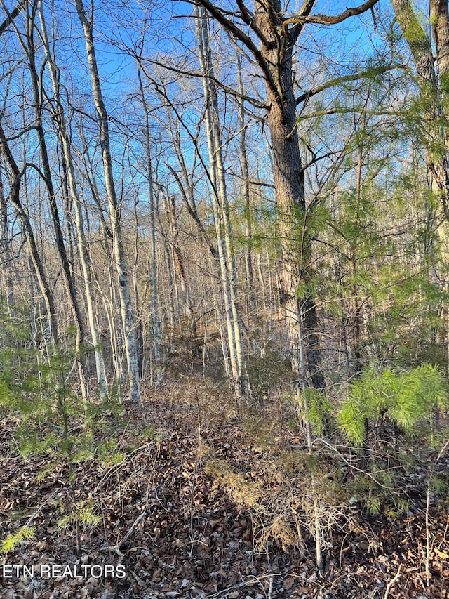 443 Saint George Dr, Crossville, TN 38558