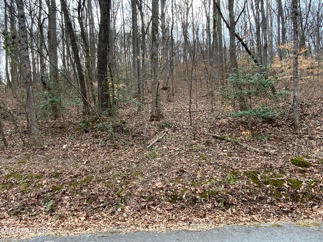 Listing photo 3 for Coffey Cir Unit 1.25, Acres, Rockwood TN 37854