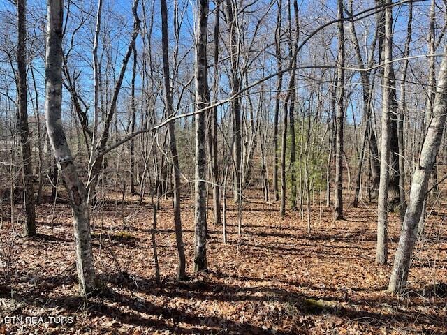 5009 Navajo Trl, Crossville TN, 38572 land for sale