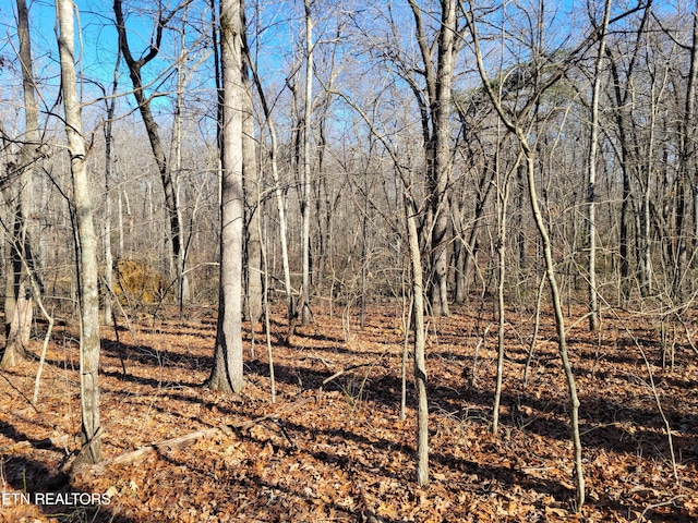 Rhonda Rd, Monterey TN, 38574 land for sale