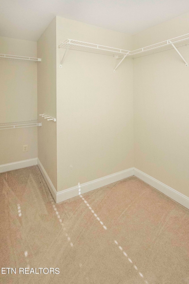 walk in closet featuring carpet floors