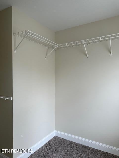 spacious closet with carpet floors