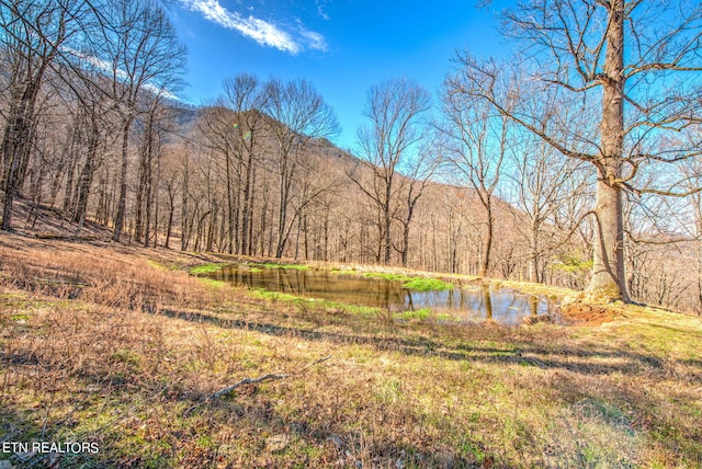 view of mountain feature featuring a water view