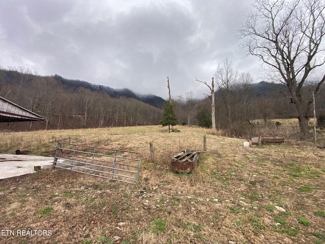 view of yard featuring a rural view