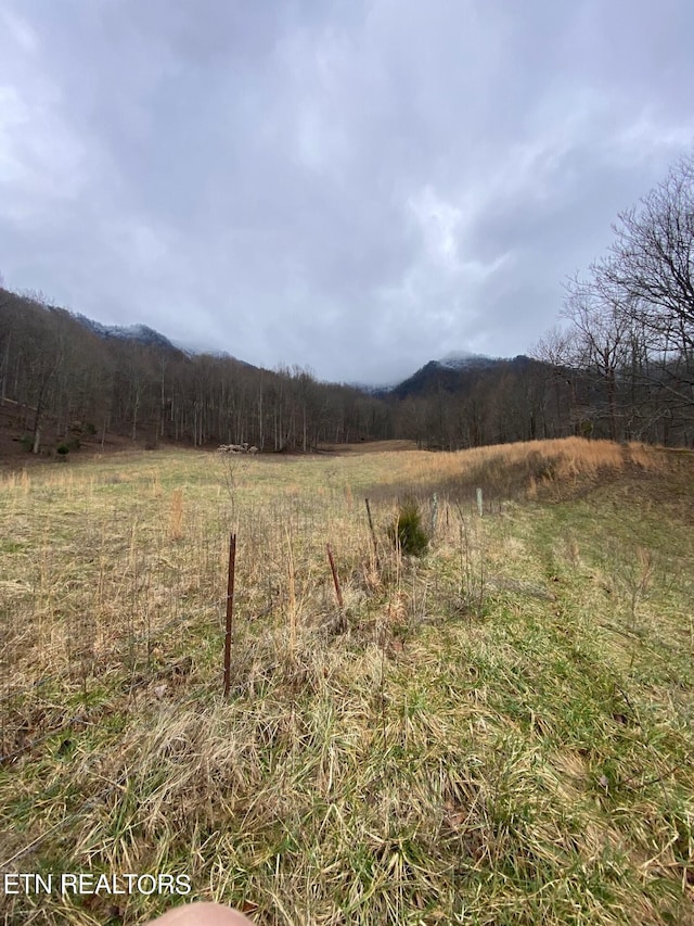 view of yard with a rural view